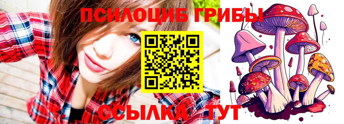 Галлюциногенные грибы Psilocybe Благовещенск